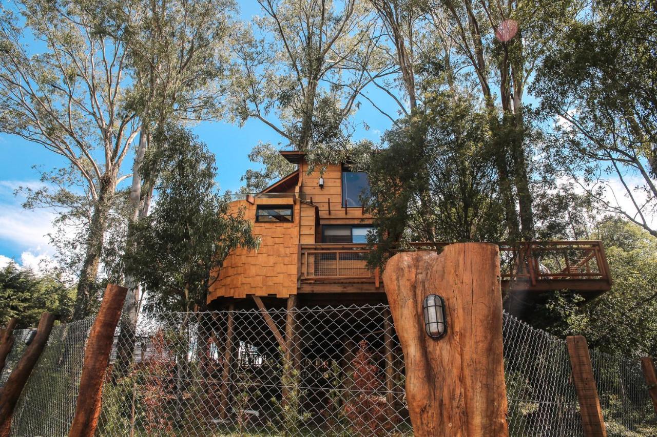 Casa na Árvore Morada dos Vagalumes Farroupilha Exterior foto